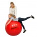 Gimnastikos Kamuolys Original PEZZI Physioball 95cm Raudonas