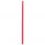 Gimnastikos lazda NO10 80 cm SPR-25080 R, raudona