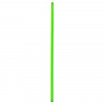 Gimnastikos Lazda NO10 SPR-25120 G 120 cm