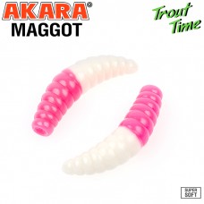 Guminukas AKARA Trout Time MAGGOT, 40 mm, 451 (MG1/6-451-CH-F10) Guminukas AKARA Trout Time MAGGOT, 40 mm, 451 (MG1/6-451-CH-F10)