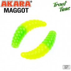 Guminukas AKARA Trout Time MAGGOT, 40 mm, 453 (MG1/6-453-CH-F10) Guminukas AKARA Trout Time MAGGOT, 40 mm, 453 (MG1/6-453-CH-F10)