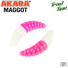 Guminukas AKARA Trout Time MAGGOT, 40 mm, 457 (MG1/6-457-SH-F10) Guminukas AKARA Trout Time MAGGOT, 40 mm, 457 (MG1/6-457-SH-F10)