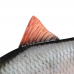 Guminukas Fox Rage Ultra-Realistic Roach Replicant 10cm/16g