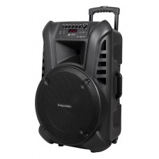 Nešiojama Garso Sistema 15" 60W RMS su 2 Belaidžiais UHF Rankiniais Mikrofonais Ir FM Imtuvu