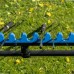 Pludinė meškere Supera X Float 460cm testas 2-12g