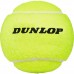 Teniso kamuoliukai Dunlop Australian Open 4 vnt