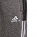 Vaikiškos Kelnės Adidas Tiro 21 Sweat Pilkas