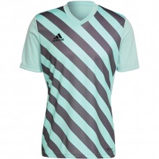 Vyriški Marškinėliai Adidas Entrada 22 Graphic Jersey Mintinis HF0119