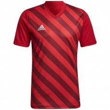 Vyriški Marškinėliai  „Adidas Entrada 22 Graphic Jersey“