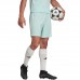 Vyriški Šortai Adidas Entrada 22 Mėlyna HC5051