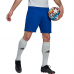 Vyriški Šortai Adidas Entrada 22 Mėlyni HG6294