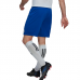 Vyriški Šortai Adidas Entrada 22 Mėlyni HG6294