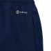 Vyriškos Kelnės Adidas Entrada 22 Presentation Pants Garnate HB5329